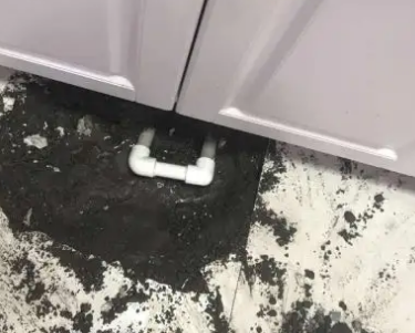舟山查漏水哪家好